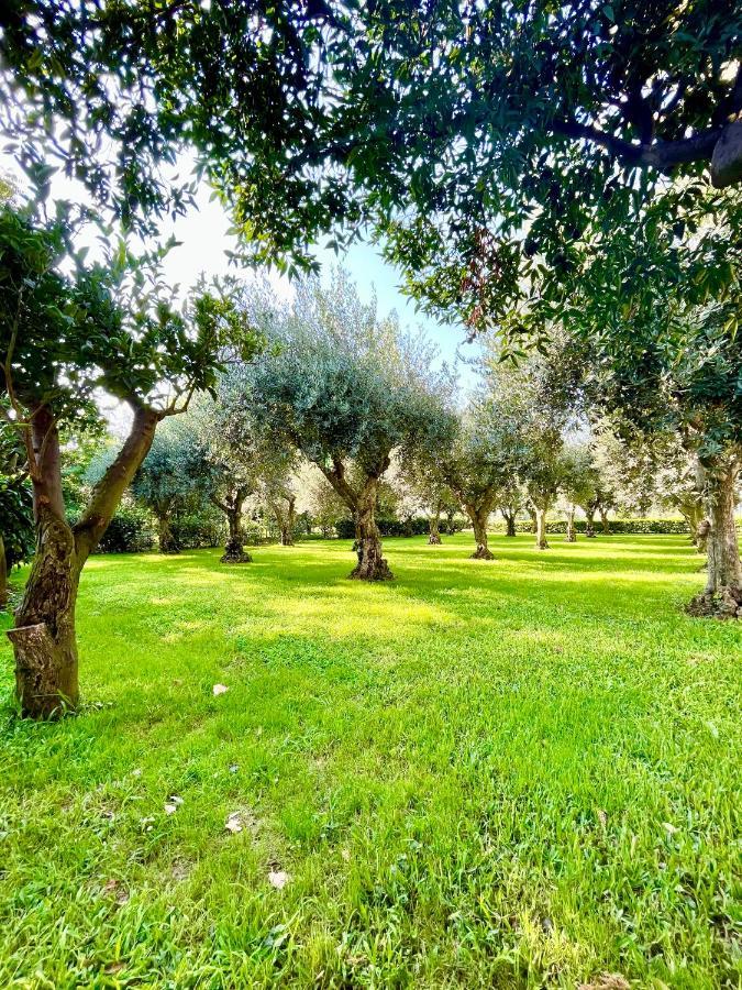 Апартаменты Il Giardino Di Athena 1 Пестум Экстерьер фото