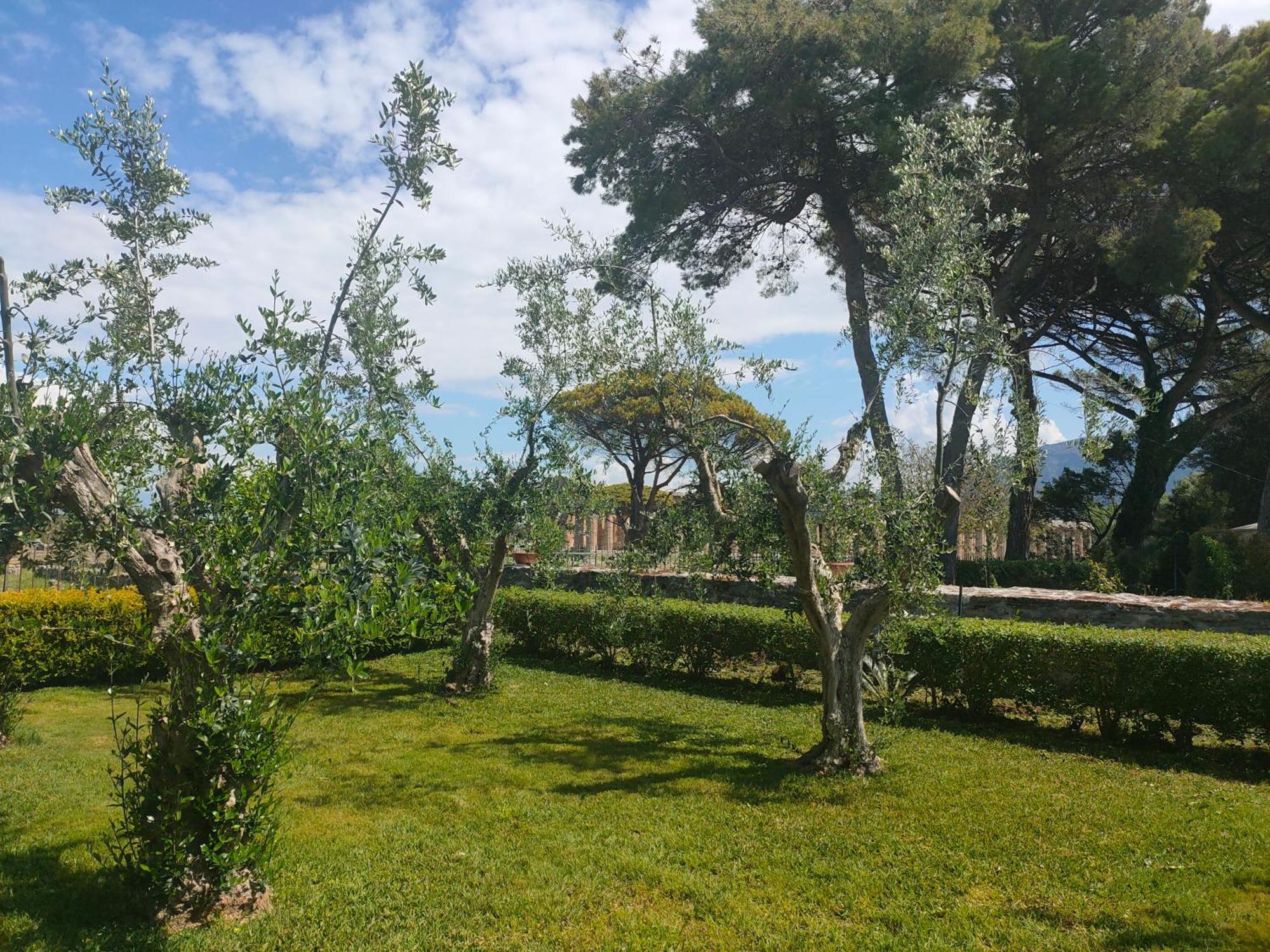 Апартаменты Il Giardino Di Athena 1 Пестум Экстерьер фото