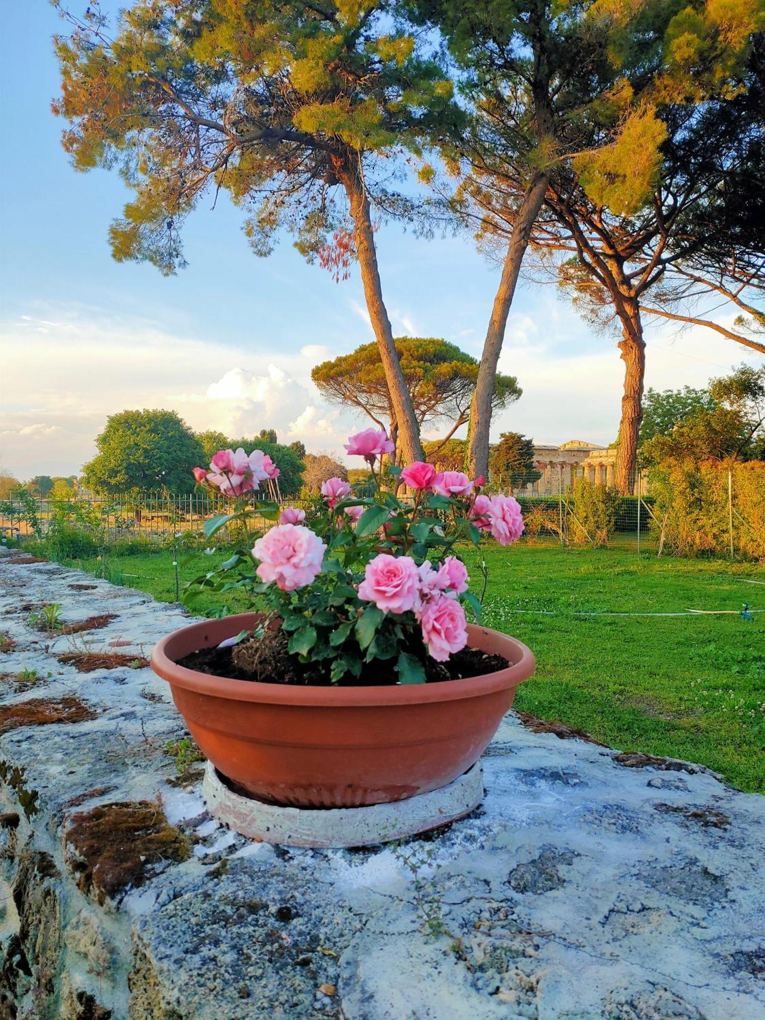 Апартаменты Il Giardino Di Athena 1 Пестум Экстерьер фото